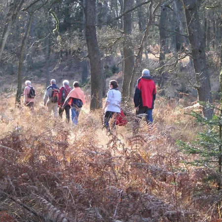 Apartmán Beautiful With Big Garden