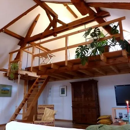 Beautiful With Big Garden Apartment *
