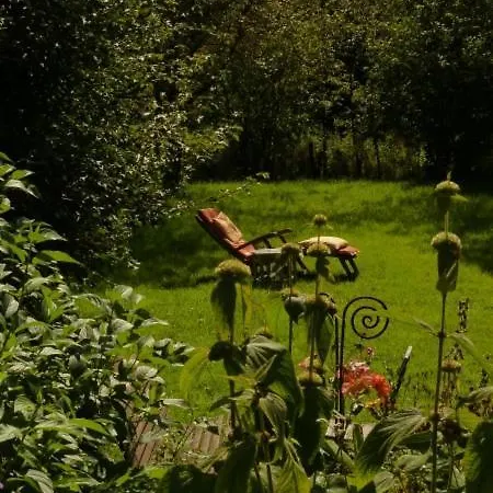 Beautiful With Big Garden Roetgen