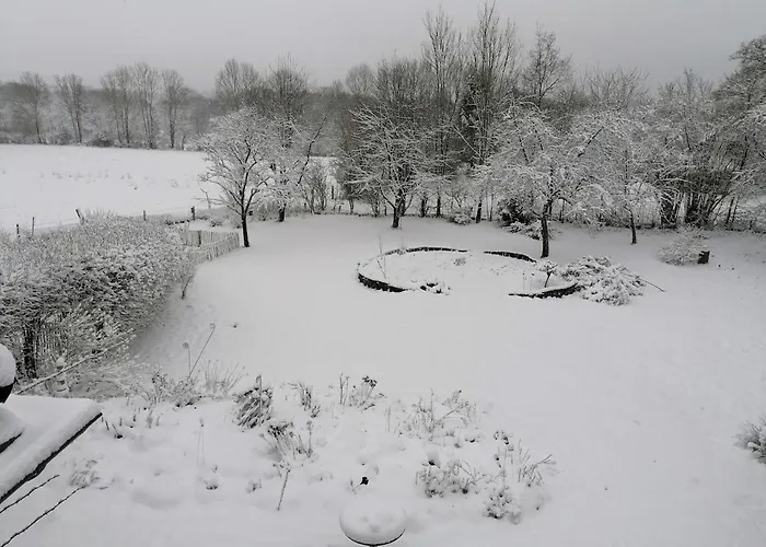 Daire Beautiful With Big Garden *