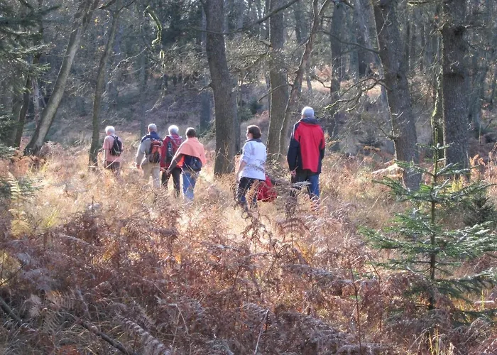 Daire Beautiful With Big Garden