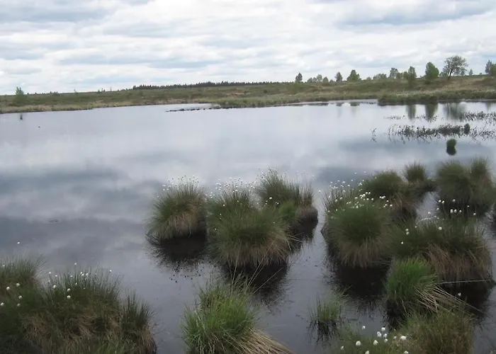 Beautiful With Big Garden Daire *