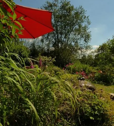 Beautiful With Big Garden Daire *