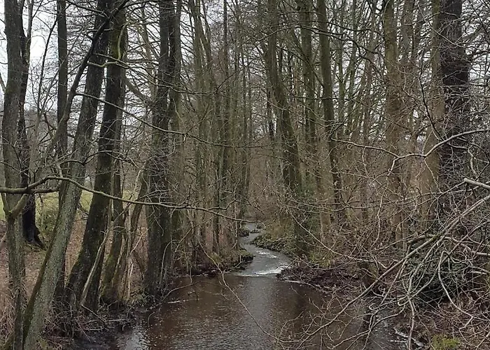 Daire Beautiful With Big Garden *